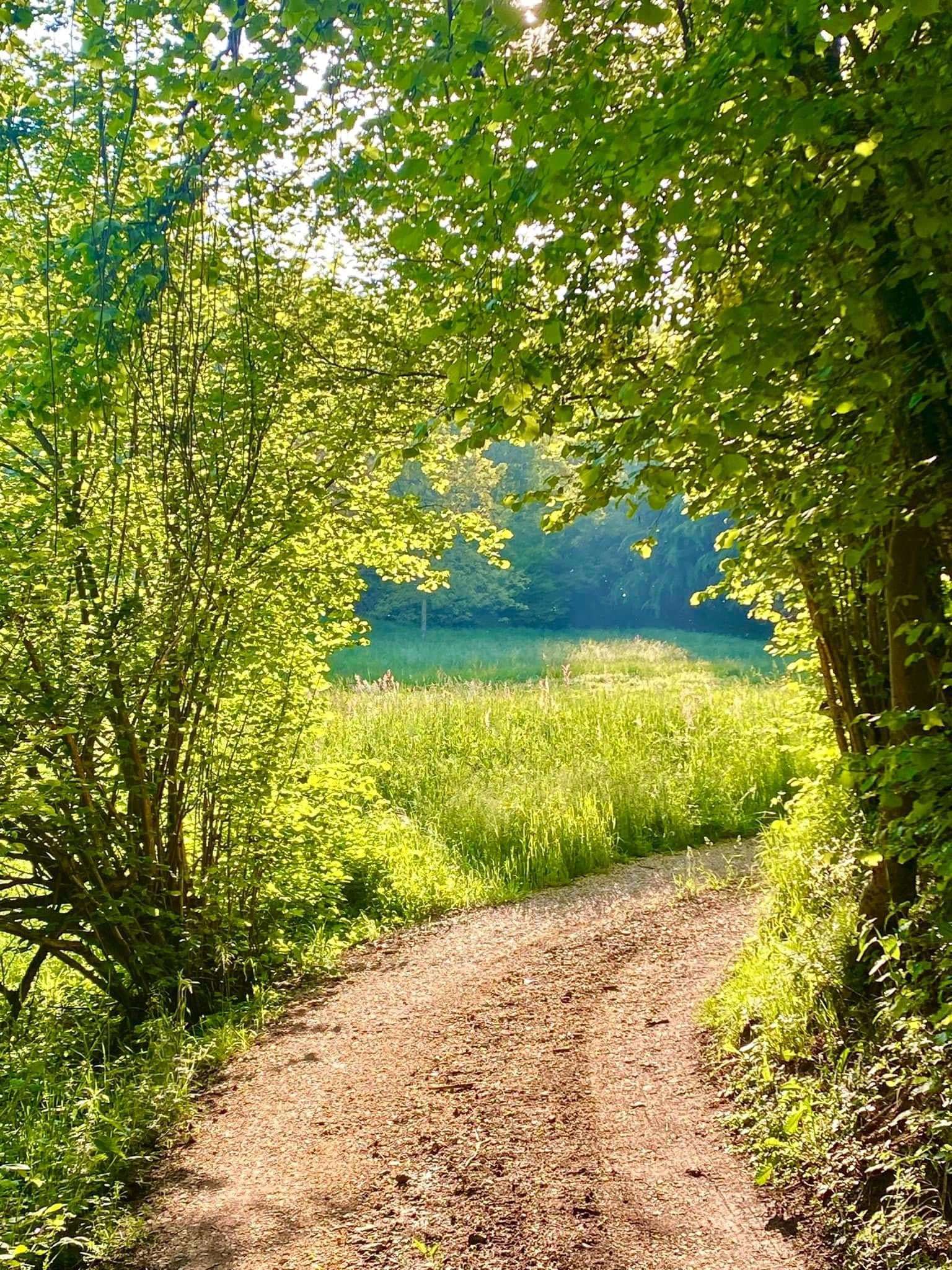 La radura alle Tezze di Cerealto (Valdagno, VI) dove ho provato come la natura e il lavoro manuale permettano alla mente di recuperare equilibrio e focalizzarsi solo sul momento