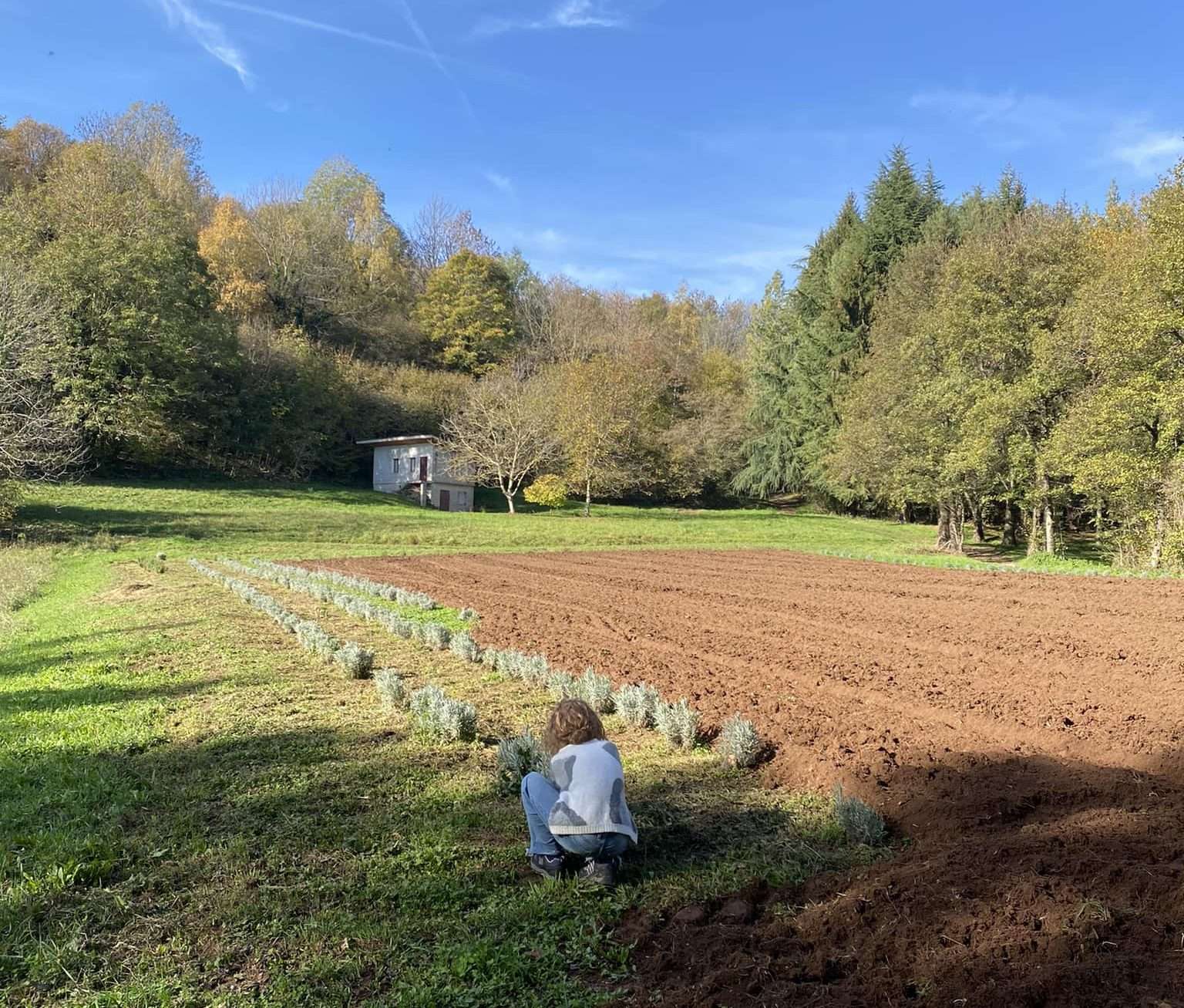 L'iniziativa che unisce Coaching e Natura introducendo attività pratiche all'aria aperta